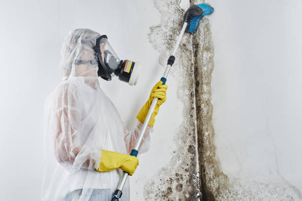 Best Mold Remediation for Healthcare Facilities  in Huron, CA